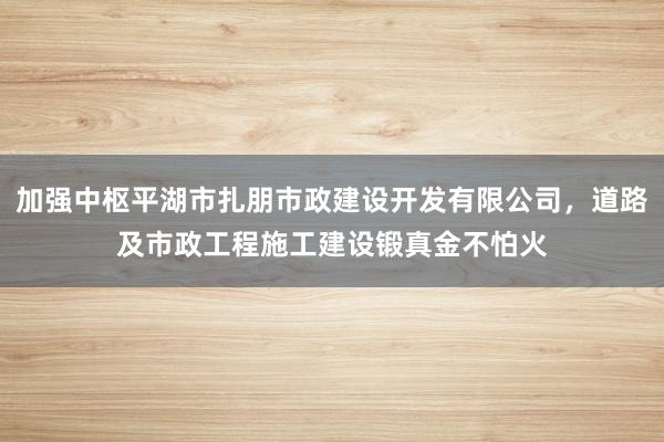 加强中枢平湖市扎朋市政建设开发有限公司，道路及市政工程施工建设锻真金不怕火