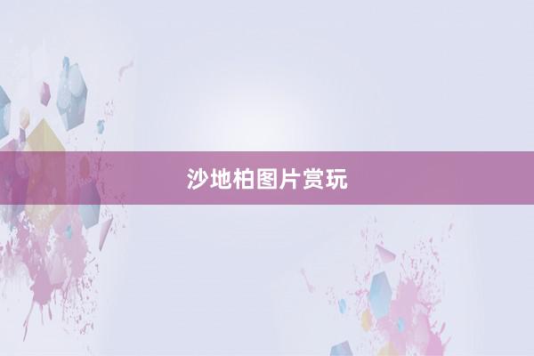 沙地柏图片赏玩
